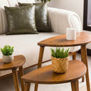 Nesting Coffee Table Set 3