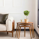 Nesting Coffee Table Set. 4