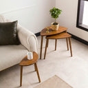 Nesting Coffee Table Set 2