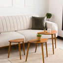 Nesting Coffee Table Set 9