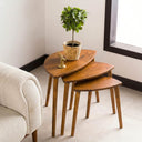 Nesting Coffee Table Set 9