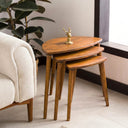 Nesting Coffee Table Set