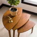 Nesting Coffee Table Set 12