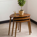 Nesting Coffee Table Set 9